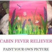Paint Your Own Picture – Wednesday Night 6:30pm March 22nd, 2017