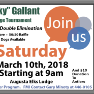 Punky Gallant Memorial Cribbage Tournament March 10th 2018 At 9am Hot Dogs And Burgers Available Partners