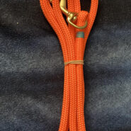 Braided Dog Leash (Orange) Donated by Custom Cordage value of $15.00
